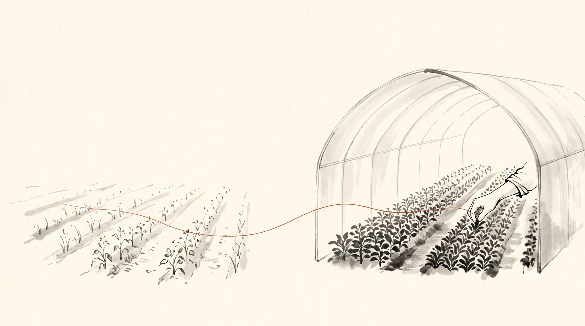 Korean ink wash painting: an open field on the left and a greenhouse on the right, a single hand tending crops inside the greenhouse, one thin red thread